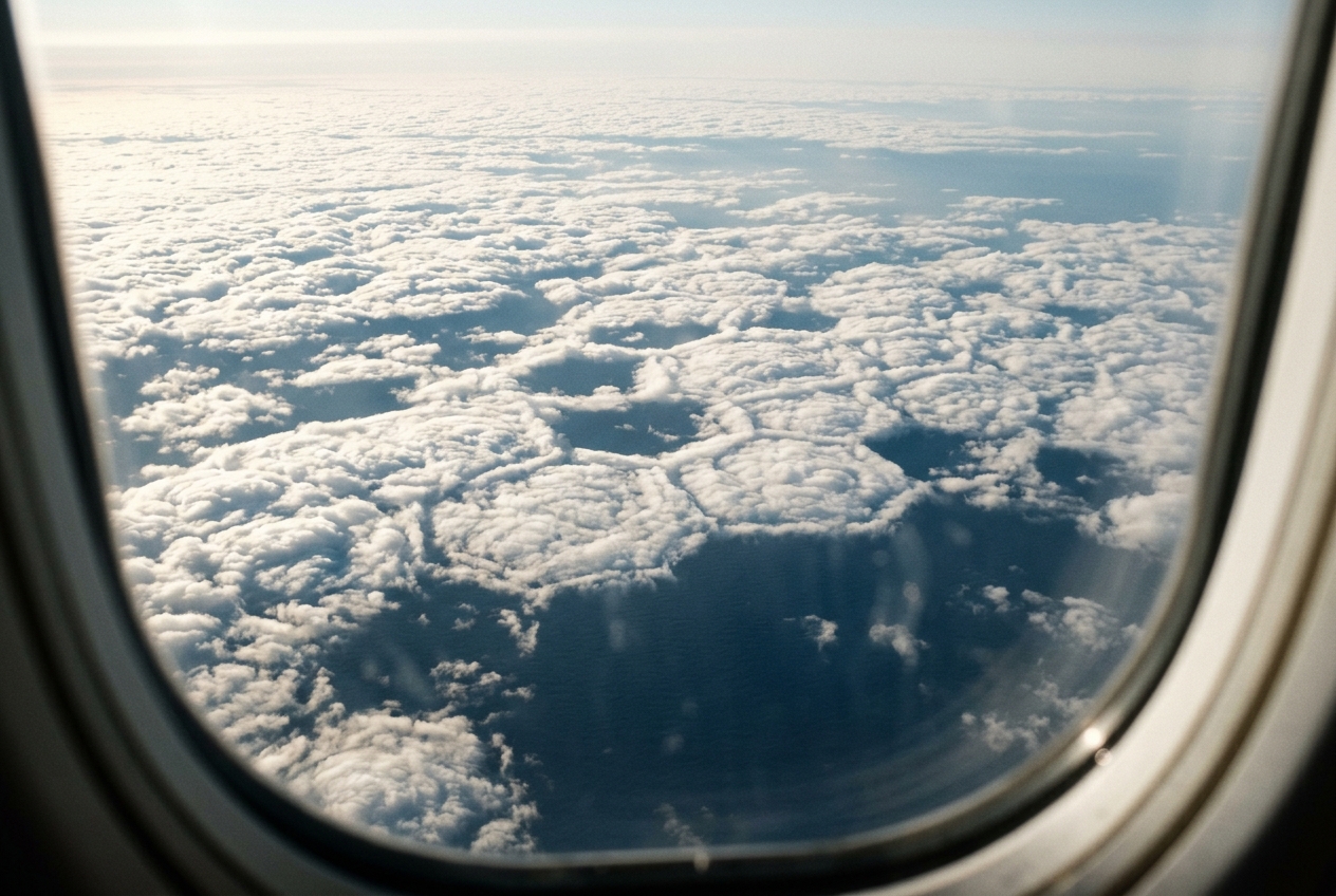 Mesoscale Cellular Convection & Rayleigh-Bénard Instability: How Open and Closed Cloud Cells Organize Marine Boundary Layer Heat Fluxes